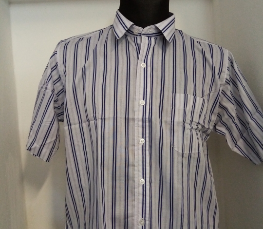 Košile pánská pruhovaná krátký rukáv bílo-modrá